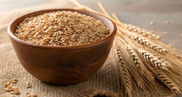 TİGEM, 2 bin ton buğday satışı için ihale açtı