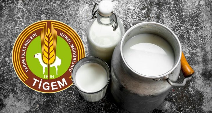 TİGEM 2026 yılı için 74 bin 665 ton sütü ihaleyle satacak