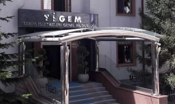 TİGEM 5 ton kozalağı ihaleye çıkarıyor