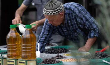 Tirilye’de Zeytin Çiçeği Festivali’ne ilgi