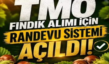 TMO fındık alımı için randevuları açtı