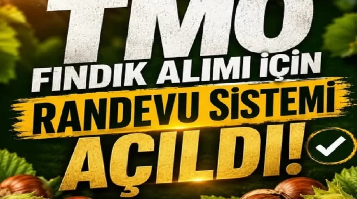 TMO fındık alımı için randevuları açtı