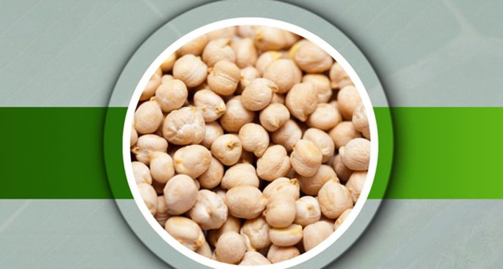 Başkan Dr. Özer Kasap: Nohut tohumu desteği başvuruları alınıyor