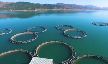 Tokat’ın Almus Barajı’ndan 29 ülkeye balık ihracatı