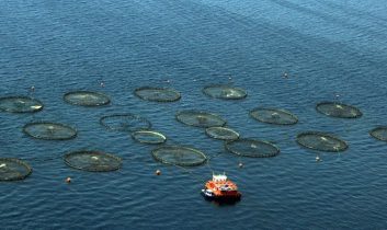Türkiye, Akdeniz ve Karadeniz balıkçılığında lider konumda