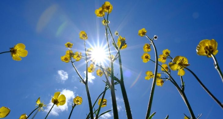 Rüzgarlar zayıflıyor, sıcak hava dalga dalga geliyor