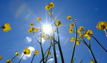 Türkiye’de temmuz kavurdu: Tüm zamanların rekoru kırıldı