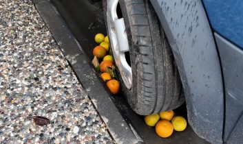 Aydın’da tonlarca milli servet çöpe gidiyor