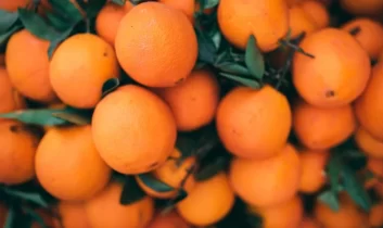 Turunçgil ihracatı 697,7 milyon dolara ulaştı