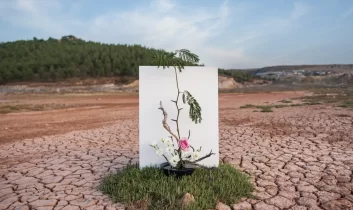 Üniversitelerden COP31’e akademik ilgi: 3 bin 373 başvuru