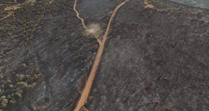 Uşak’taki yangının tahribatı görüntülendi: Türkiye’nin ciğerleri yandı