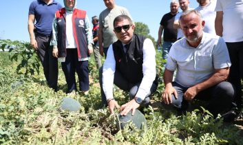 Düzce Valisi Aslan karpuz üreticisini tebrik etti