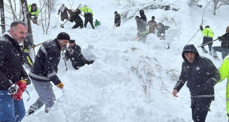 Van’ın Çatak ilçesinde iki mahalleye çığ düştü: Bir kadın çığ altında kaldı