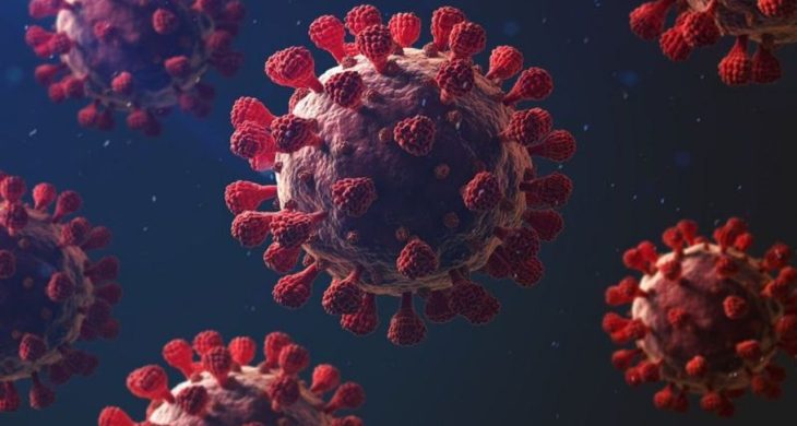 Hindistan’daki Nipah vakaları Asya’yı alarma geçirdi