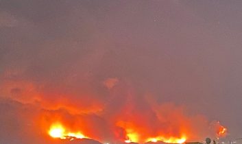 Bursa’da büyük orman yangını: Kül olan alanlar, yaralılar ve yaban hayatı katliamı