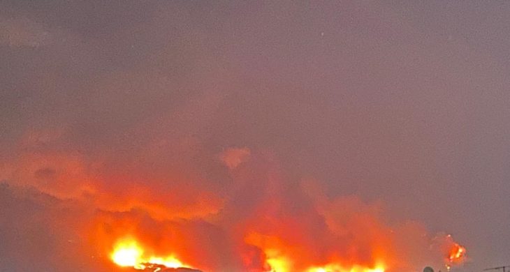 Bursa’da büyük orman yangını: Kül olan alanlar, yaralılar ve yaban hayatı katliamı