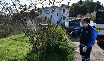 Trabzon’da kahverengi kokarca böceğiyle mücadele kapsamında 9 ilçede ilaçlama çalışmalarını sürdürüyor