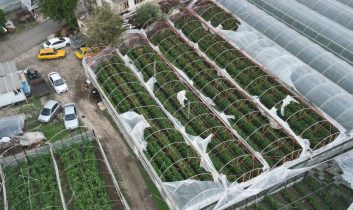 Demre’de hortum felaketi: Kapalı tarım alanlarında seralar zarar gördü