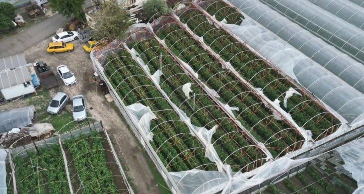 Demre’de hortum felaketi: Kapalı tarım alanlarında seralar zarar gördü