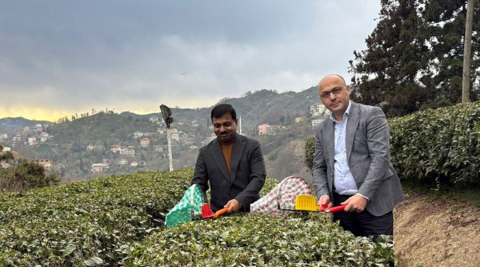Hindistan’ın Türkiye Büyükelçisi Rize’de: Türkiye’ye gelince günde 7-8 bardak çay içiyorum