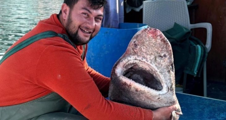 Yalova’da bir balıkçı 4 metrelik köpek balığı yakaladı
