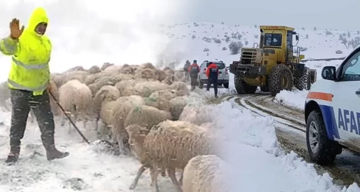 Yalvaç’ta mahsur kalan sürü kurtarıldı