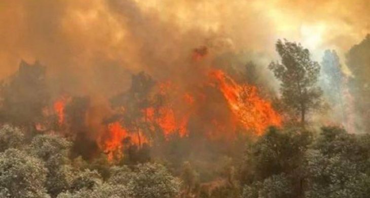 Hatay Yayladağı’ndaki orman yangını kontrol altına alındı