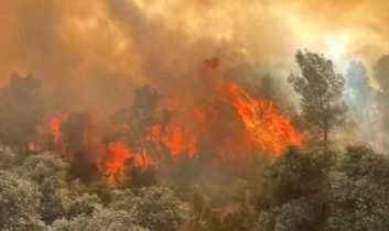 Eskişehir Seyitgazi’de facia: 11 orman işçisi şehit oldu