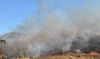 Şırnak’ta Bestler Dereler bölgesinde orman ve örtü yangını