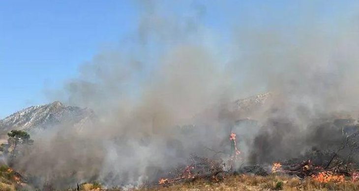 Şırnak’ta Bestler Dereler bölgesinde orman ve örtü yangını