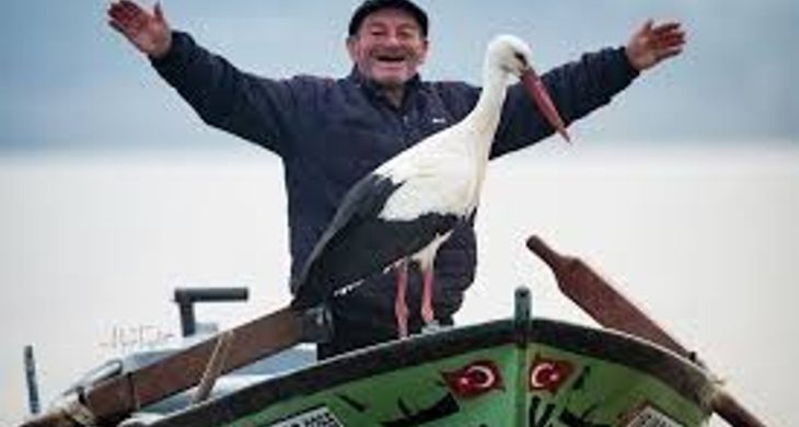 Yaren Leylek’in yavruları göç yolunda