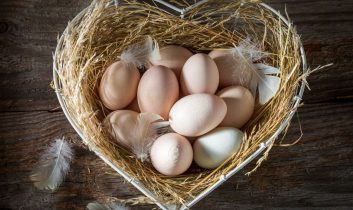 Türkiye’nin ABD’ye yumurta ihracatı 4 kat arttı